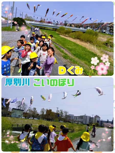Ｄくみ年長の子どもたちで作ったこいのぼりを見に厚別川まで行ってきました✨年長になってから初めてのお出かけにおおはしゃぎ❗とっても喜んでいましたよ❗
