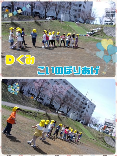 Ｄくみ幼稚園のこいのぼりをみんなの力であげました❗ロープを引っ張って少しずつあがっていくと「すごいねぇ❗できたよ～❗」と大満足でした✨