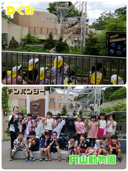 Ｄくみチンパンジーのところでは、「1.2.3...9匹もいる！！」とみんなで一緒に数え、「いっぱいいるー！！」と喜んでいましたよ！