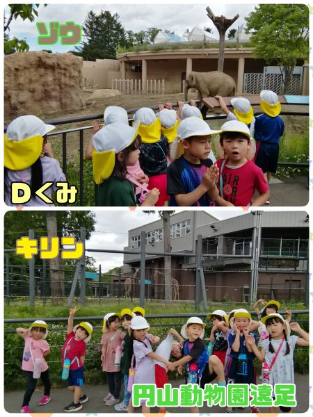 Ｄくみ円山動物園に行ってきました！生き生きとした動物たちを見ることが出来ました！