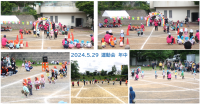 運動会　年中かけっこ、回ってピューン、リズムを行いました！お友達と競うことや、協力することが出来るようになり、かっこいい姿やかわいい姿が見られましたよ♪