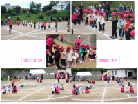 運動会　年少かけっこ、ボール転がしリレー、リズムを行いました！たくさんのお客さんの前でドキドキした子もいましたが初めての発表を楽しみ、みんな頑張っていましたよ！