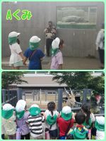 Aくみ動物達もみんな外に出ていてとても見やすかったです✨✨