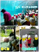 Ｄくみしっかりと自分の足で歩いた子どもたち！水のトンネルからホッキョクグマが泳いでいるのがちょうど見れて大興奮でした✨