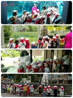 Bくみ動物園遠足に行って来ました✨お天気に恵まれて、外で活動している動物をたくさん見てこられましたよ🎵