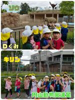 Ｄくみ円山動物園に行ってきました！生き生きとした動物たちを見ることが出来ました！