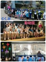 Cくみ円山動物園に行って来ました🎵暑かったけど楽しかった🎵笑顔いっぱいのみんなでした✨