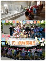 Ｂくみ円山動物園遠足に行ってきました！いろんな動物を見ることができてとっても喜んでいましたよ😄暑い中でしたが元気いっぱいの子どもたちでした！