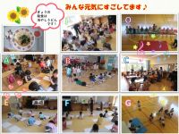 今日の幼稚園とても暑くなってきましたが、園内は風が通って涼しいです。幼稚園のお友達は元気に過ごしていますよ♪