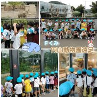 Ｆくみ円山動物園遠足に行ってきました🐘🚌ガラス越しに目の前を通ったライオンに少し驚きながらも「大きくてカッコいいね～🦁」と大興奮の子どもたちでした！！🌠