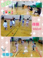 Ｉくみ体操で初めて縄跳びに挑戦しました！縄跳びを畳む度にヘビ🐍、ゾウ🐘、バイク🏍️と呼び方が変わり、子どもたちは大はしゃぎ🥰縄を後ろから前に回す練習では、カラーコーンを虫に見立て虫取りをするように行いました！「またやりたい！」と言う程、楽しんでいました😆今後も年中に向けて取り組んでいきます！！